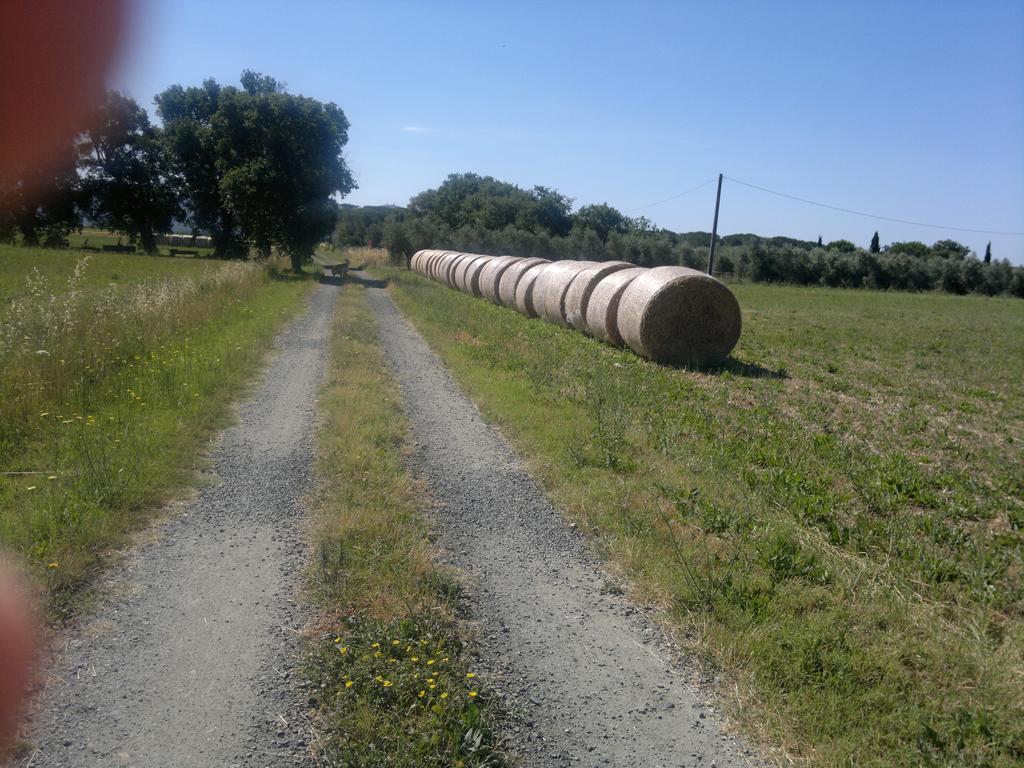 Agriturismo Il Selvello Le Versegge Zewnętrze zdjęcie