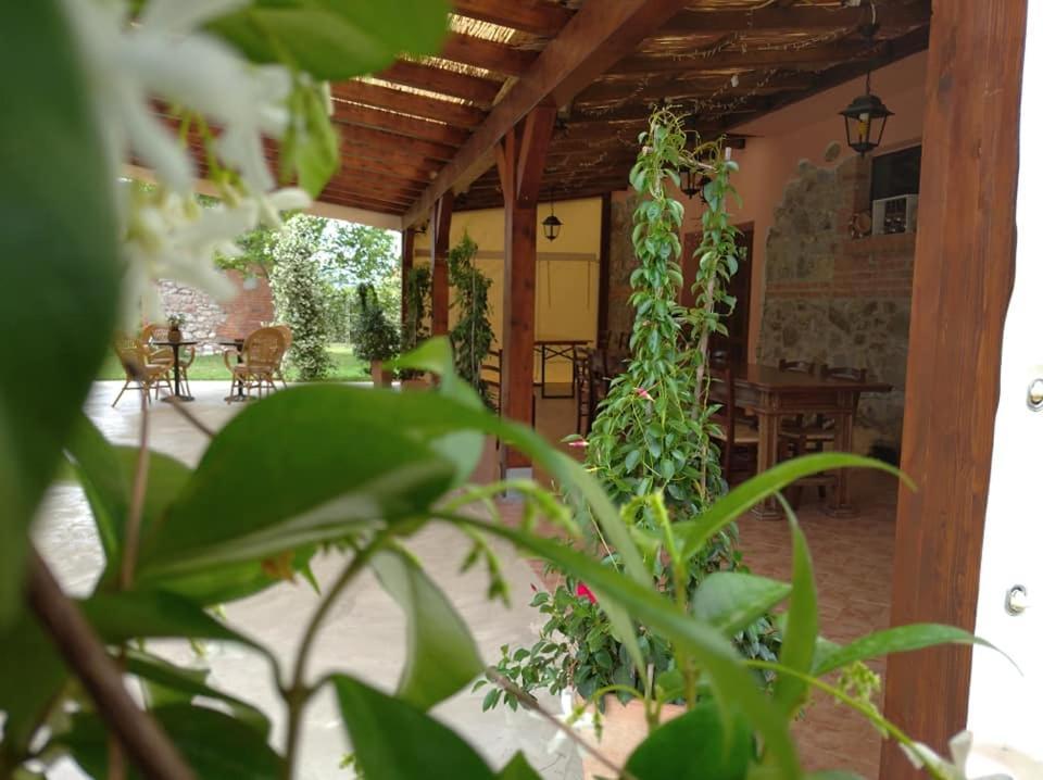Agriturismo Il Selvello Le Versegge Zewnętrze zdjęcie