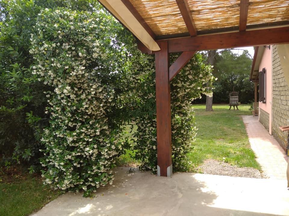 Agriturismo Il Selvello Le Versegge Zewnętrze zdjęcie