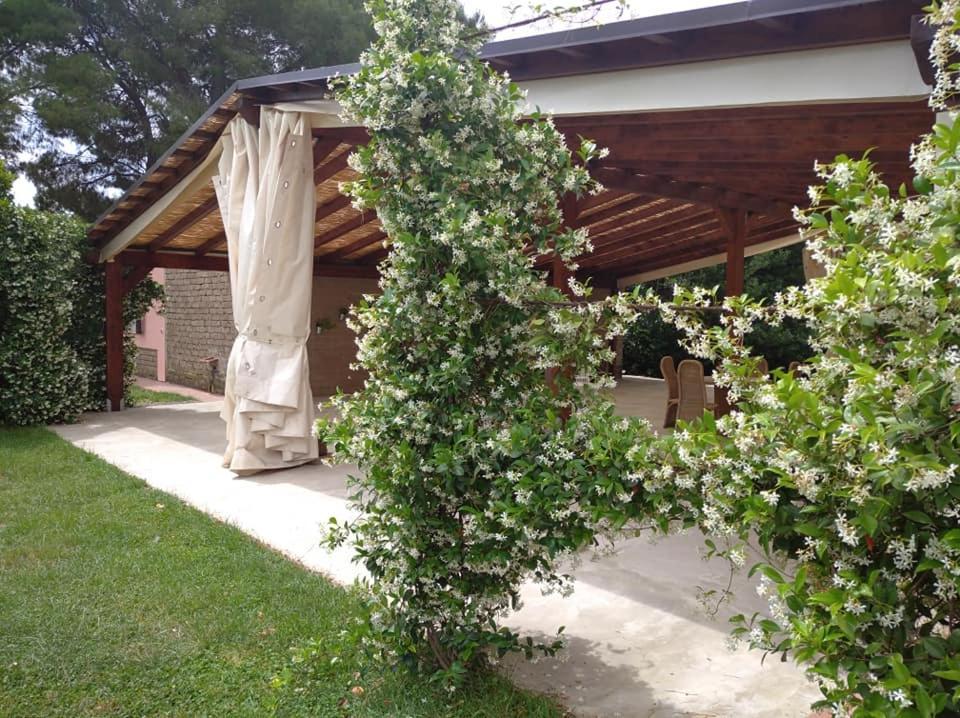 Agriturismo Il Selvello Le Versegge Zewnętrze zdjęcie